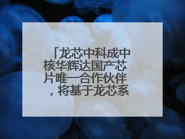 龙芯中科成中核华辉达国产芯片唯一合作伙伴，将基于龙芯系列正向适配