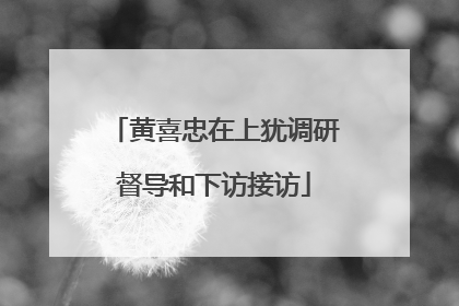 黄喜忠在上犹调研督导和下访接访