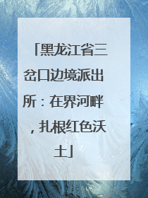 黑龙江省三岔口边境派出所：在界河畔，扎根红色沃土