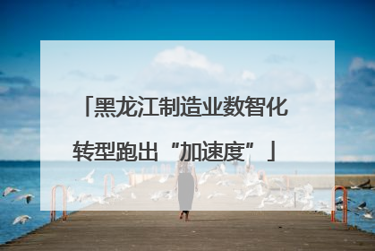 黑龙江制造业数智化转型跑出“加速度”