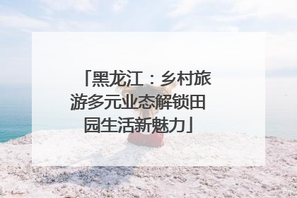 黑龙江：乡村旅游多元业态解锁田园生活新魅力