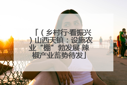 （乡村行·看振兴）山西天镇：设施农业“棚”勃发展 辣椒产业蓄势待发