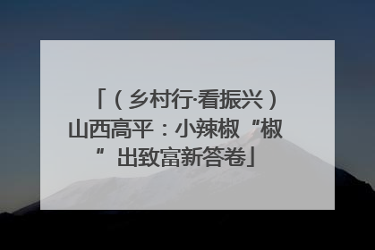 （乡村行·看振兴）山西高平：小辣椒“椒”出致富新答卷