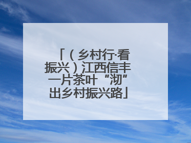 （乡村行·看振兴）江西信丰一片茶叶“沏”出乡村振兴路