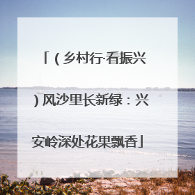 （乡村行·看振兴）风沙里长新绿：兴安岭深处花果飘香