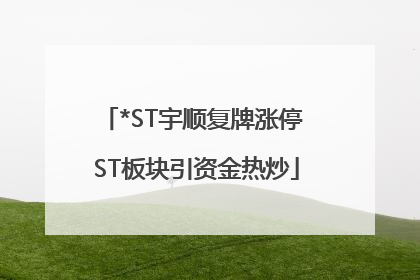 *ST宇顺复牌涨停 ST板块引资金热炒