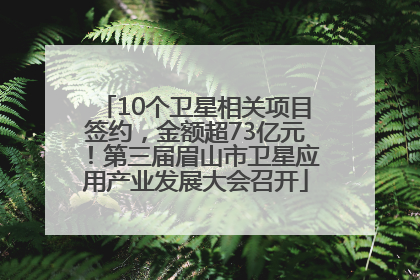 10个卫星相关项目签约，金额超73亿元！第三届眉山市卫星应用产业发展大会召开