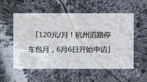 120元/月！杭州道路停车包月，6月6日开始申请