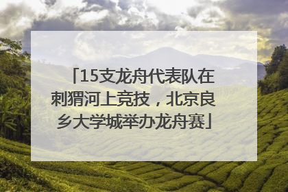 15支龙舟代表队在刺猬河上竞技，北京良乡大学城举办龙舟赛