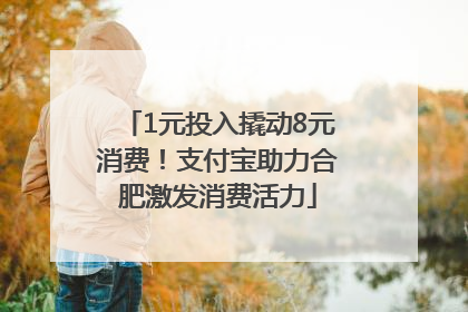 1元投入撬动8元消费！支付宝助力合肥激发消费活力