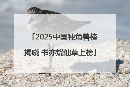 2025中国独角兽榜揭晓 书亦烧仙草上榜