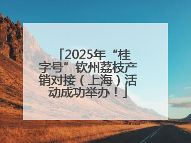2025年“桂字号”钦州荔枝产销对接（上海）活动成功举办！