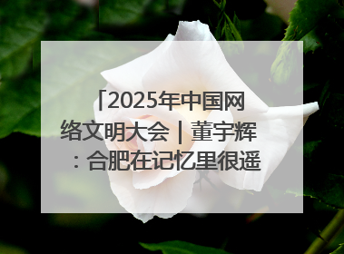 2025年中国网络文明大会｜董宇辉：合肥在记忆里很遥远也很亲切