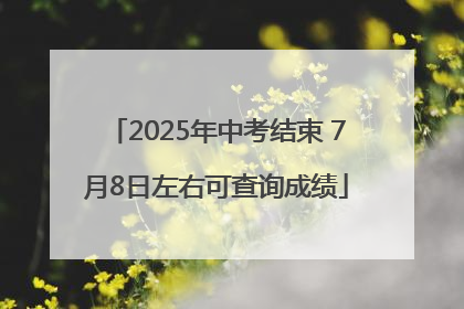 2025年中考结束 7月8日左右可查询成绩