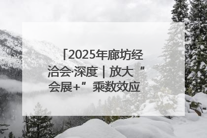 2025年廊坊经洽会·深度｜放大“会展+”乘数效应 打造消费新场景