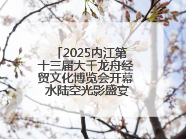 2025内江第十三届大千龙舟经贸文化博览会开幕 水陆空光影盛宴点亮甜城湖