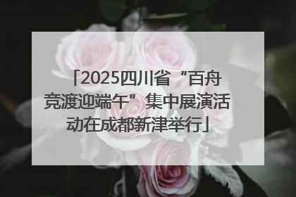 2025四川省“百舟竞渡迎端午”集中展演活动在成都新津举行