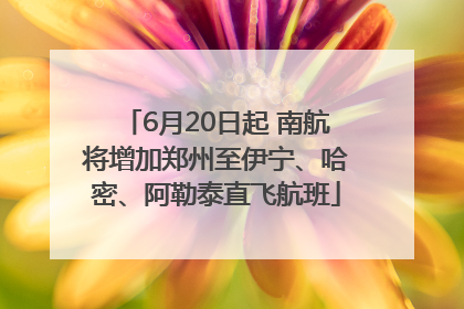 6月20日起 南航将增加郑州至伊宁、哈密、阿勒泰直飞航班