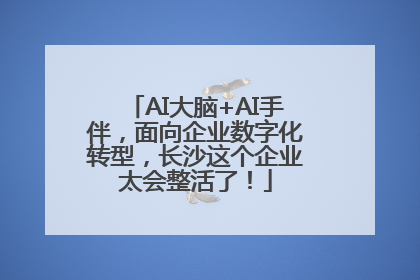 AI大脑+AI手伴，面向企业数字化转型，长沙这个企业太会整活了！