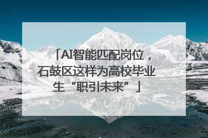 AI智能匹配岗位，石鼓区这样为高校毕业生“职引未来”