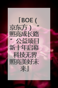 BOE（京东方）“照亮成长路”公益项目新十年启幕 科技无界照亮美好未来
